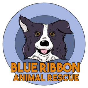 Blue Ribbon Animal Rescue Logo